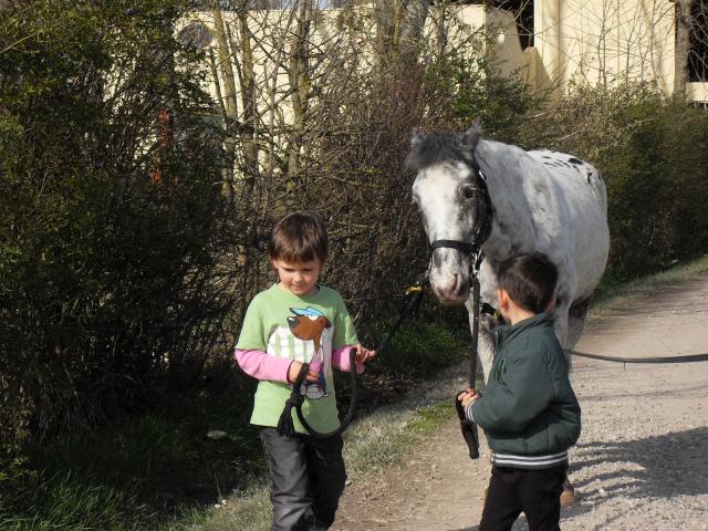 attività in maneggio