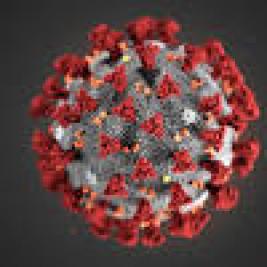 Ci fermiamo –&nbsp;13/03/2020