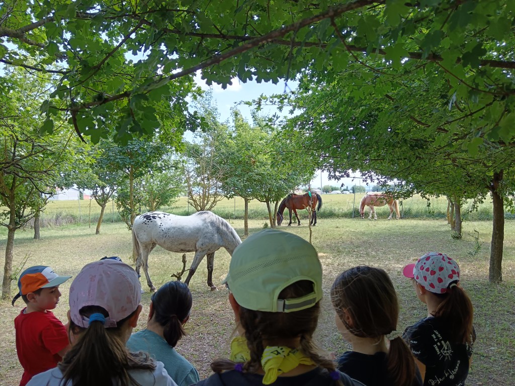 secondo laboratorio cavalca l’immaginazione