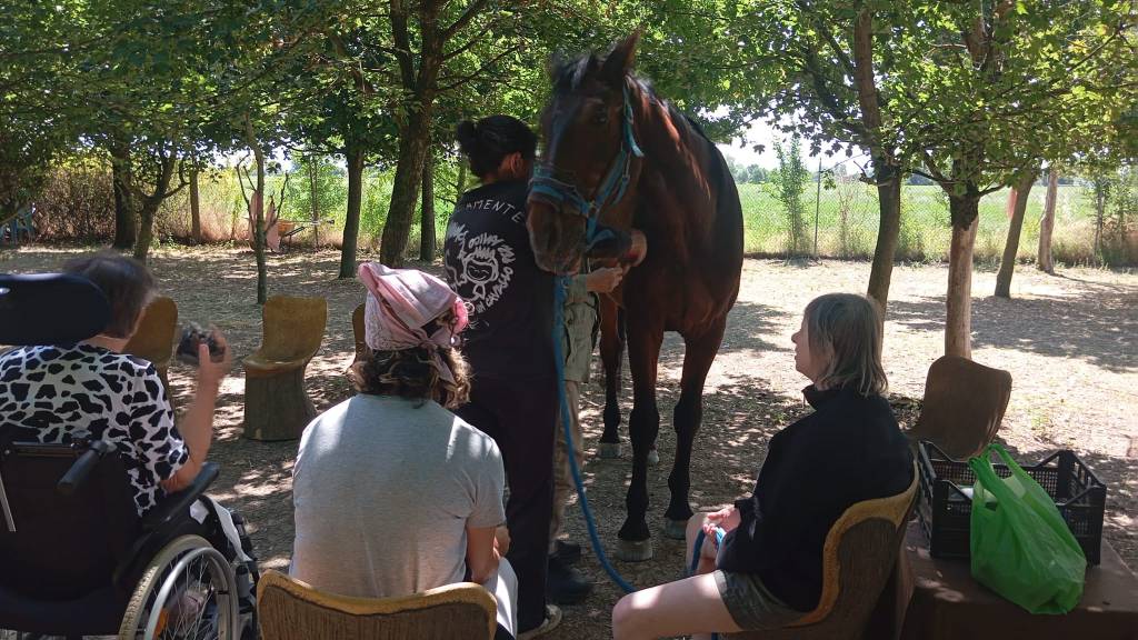 pausa estiva per il progetto “incontro il cavallo”